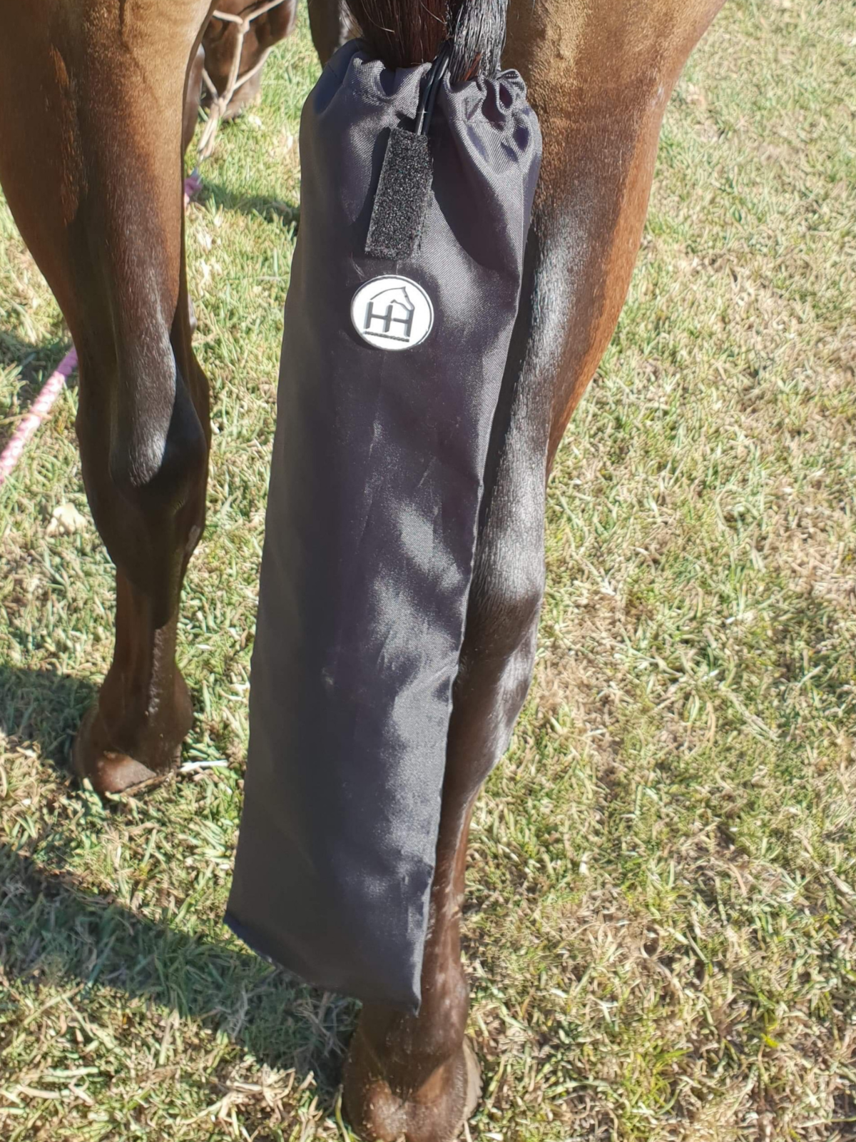 Tail bags for horses online