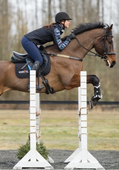 Equetech Dressage Brief - PLUS