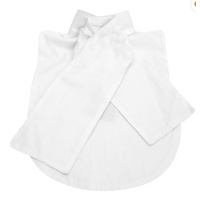 Bib with Stock Tie