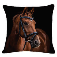 Cavallino Horsehead with Bridle Cushion