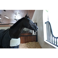 Equifit Blanket Bib