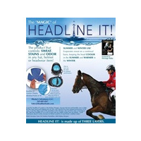 Headline It!