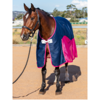 Earlwood Mesh Show Rug