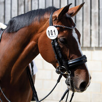 Deluxe Leather Bridle Number Holders - Pair