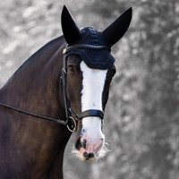 Horse Soundless Ear Net Hood - Black