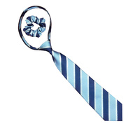 Equetech Junior Lurex Stipe Zipper Tie 