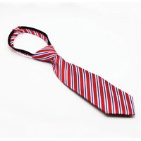 Equetech Regent Stripe Tie