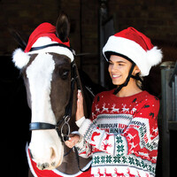 Equetech Childs Santa Hat Horse Bonnet
