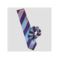 Equetech Junior Tie - PC Striped
