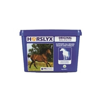 Horslyx Original Stable Vitamin & Mineral Lick 5kg