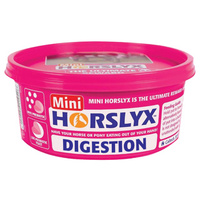 Horslyx Digestion Vitamin & Mineral Lick 650gm