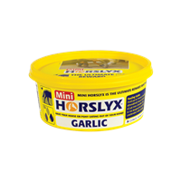 Horslyx Garlic Vitamin & Mineral Lick