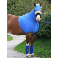 HorzeHood BIG No Ears Hood