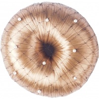 Horka Pearl Hair Net