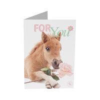 Horka Wenskaart Horses Greeting Cards
