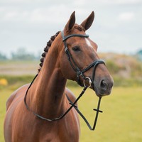 Horka Kapitano Bridle