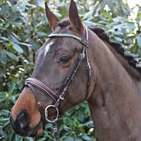 Horka Nikki Bridle