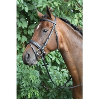 Horka Caran Bridle