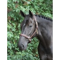 Horka Leather Halter
