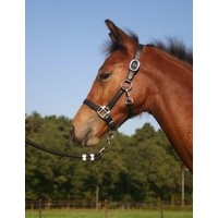 Horka Leather Foal Halter