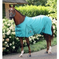 Horka Summer Rug