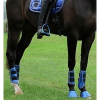 Horka Brushing Boots Glitter