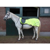 Horka Fleece Lined Reflective Exercise Rug