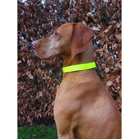 Horka Reflective Dog Collar