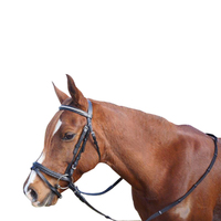 Silver Clinch Hanoverian Bridle