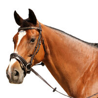 Empire Hanoverian Bridle