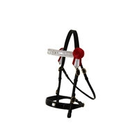 WHE Patent Leather In Hand Bridle