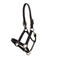 WHE Patent Leather Headcollar
