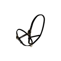 WHE Leather Figure 8 Foal Slip