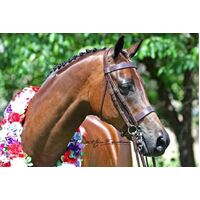 White Horse Equestrian Imperial Collection Hunter Weymouth Bridle