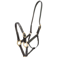 Zilco 19mm PN Headstall