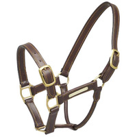 Aintree Leather Halter