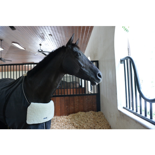 Equifit Blanket Bib