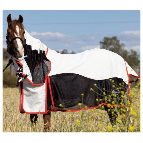 Earlwood Mesh Ripstop Combo 2026