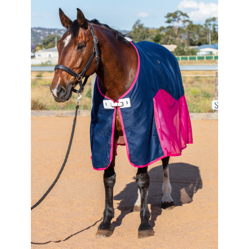 Earlwood Mesh Show Rug
