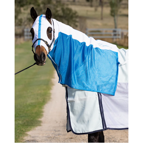 Earlwood Mesh Hood