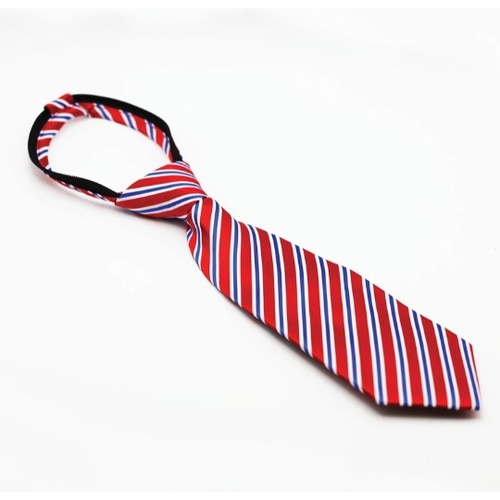 Equetech Regent Stripe Tie