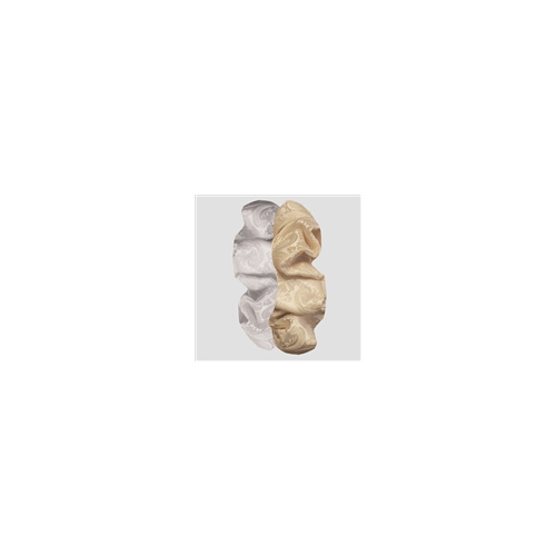 Equetech Hair Scrunchie - Paisley Brocade