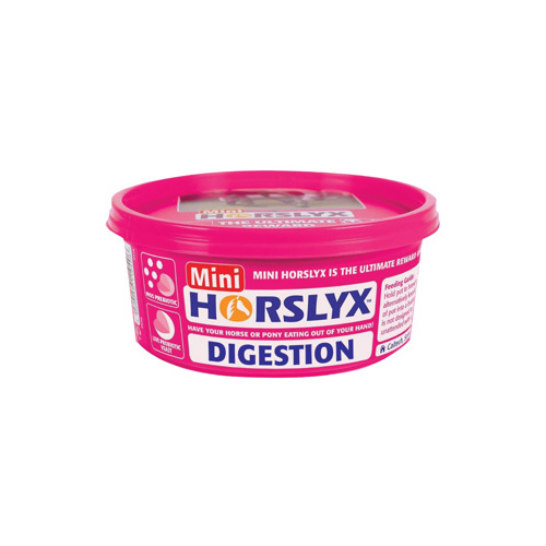 Horslyx Digestion Vitamin & Mineral Lick 650gm