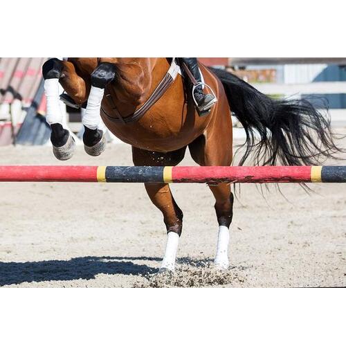 Saratoga Bandages Horse 9' (4pk)