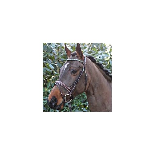 Horka Nikki Bridle