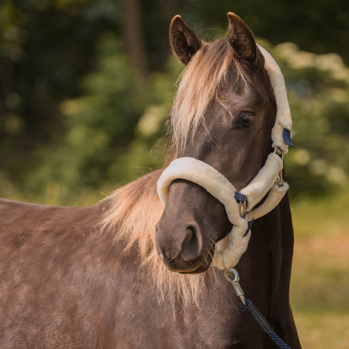 Horka Fur Protection Halter