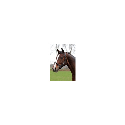 Horka Lunge Cavesson