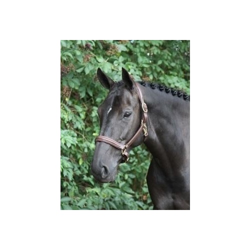 Horka Leather Halter