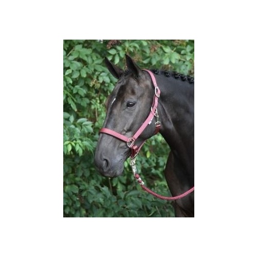 Horka Nubuck Halter