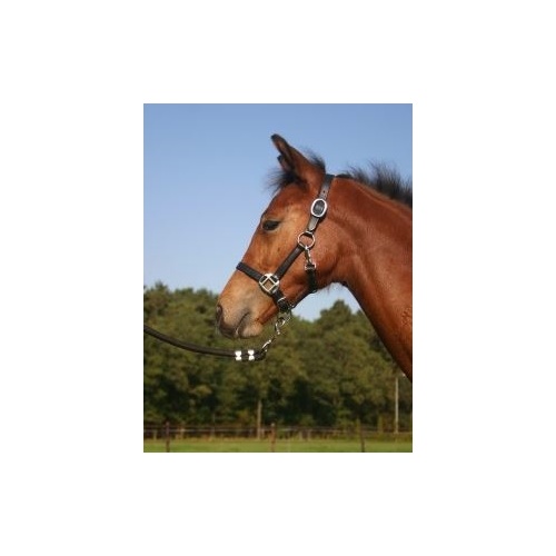 Horka Leather Foal Halter